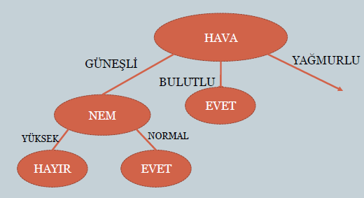 Adım 3: HAVA niteliğinin