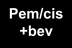 AVAPERL: Pem/cis/beva sonrası Pem+beva vs.