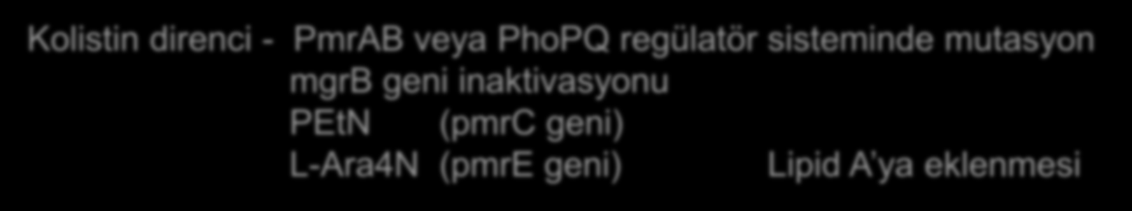 geni inaktivasyonu PEtN (pmrc geni)