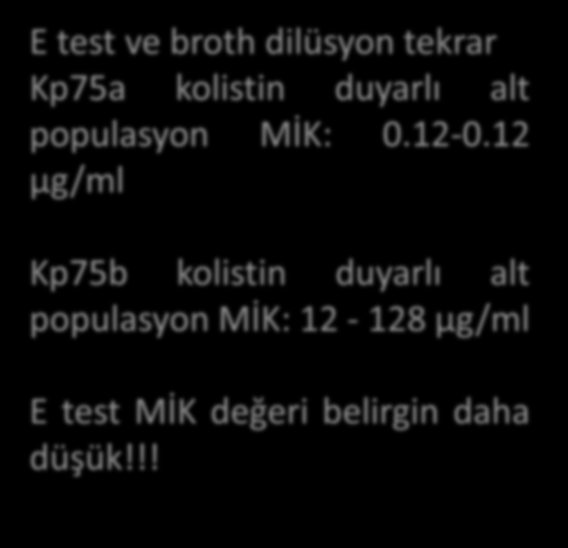 populasyon MİK: 0.12-0.