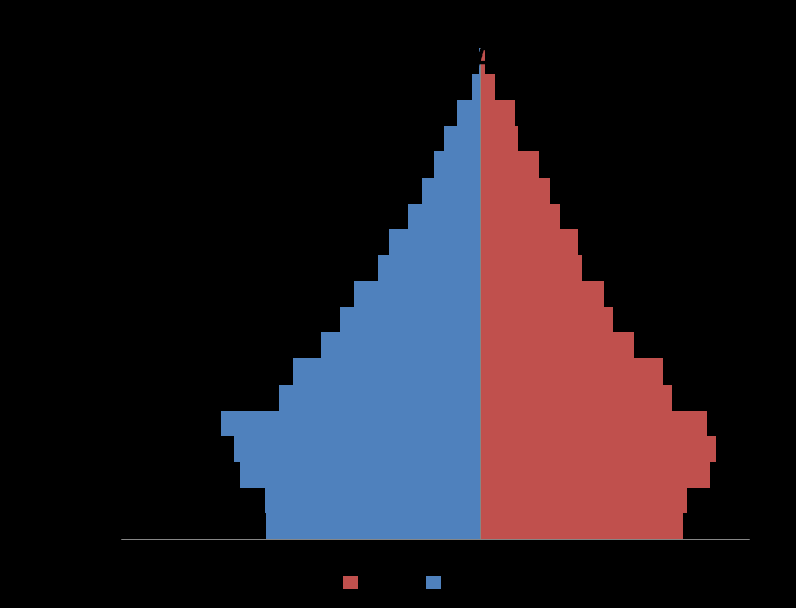Şekil 3.TRA1 Düzey 2 Bölgesine ve Erzincan a ait nüfus piramidi Bölge illerinde son beş yıla ait kaba doğum hızları belirgin bir değişim göstermemiştir (Şekil 4. Stabil bir eğilim izlemektedir.