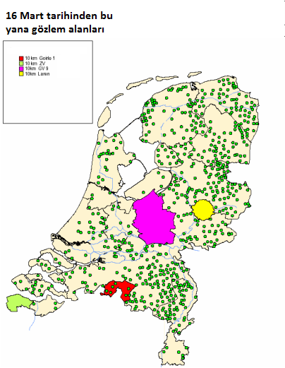 Şekil 12 - Hollanda da düşük derecede patojenik kuş gribine karşı izlemeye tabi tutulan işletmeler (Weijtens, 2004) Yukarıda izlendiği
