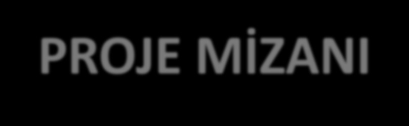 PROJE MİZANI BİLANÇO MODÜLÜ RAPORLAR Bölümünde Proje Şube Mizanını Tıklayarak Alabilirsiniz.