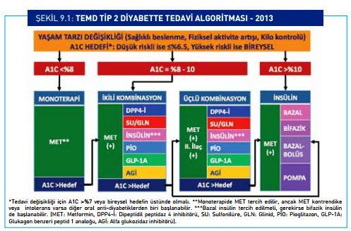 TEMD Diabetes Mellitus ve