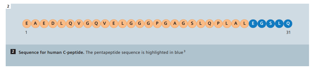 Connecting peptid veya C-peptid, insulinin a-zinciri ile b-zincirini proinsulin molekülünün içinde birbirine bağlayan 31 aminoasitlik bir proteindir.