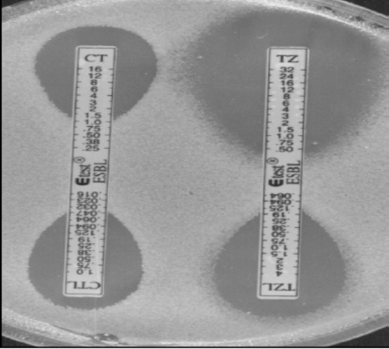 Sonuçların değerlendirilmesi In vitro-in vivo uyum