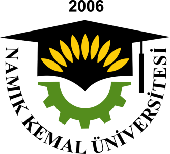 Namik Kemal University Institute of Social Science No:
