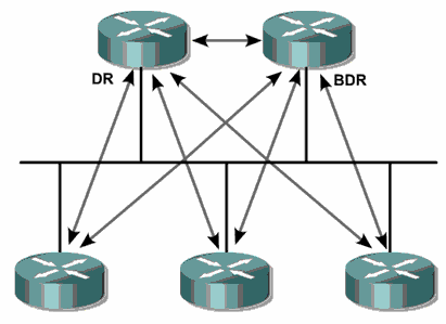 OSPF KOMŞULUGU OSPF ile konfigüre edilmiş routerlar 7 adım ile diğer routerlar ile komşuluk kurarlar. Bu adımlar şunlardır; Down, Hello paketinin alınamadığı durumdur.