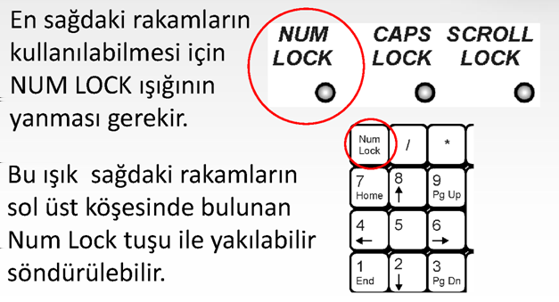 NumLock En sağdaki rakamların kullanılabilmesi için NumLock ışığının yanması gerekir. Bu ışık sağdaki rakamların sol üstündeki NumLock tuşu ile yakılıp söndürülebilir.