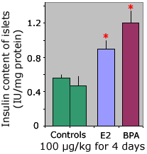 The Estrogenic Effect of Bisphenol-A Disrupts the Pancreatic ß-Cell Function in vivo and Induces Insulin Resistance.