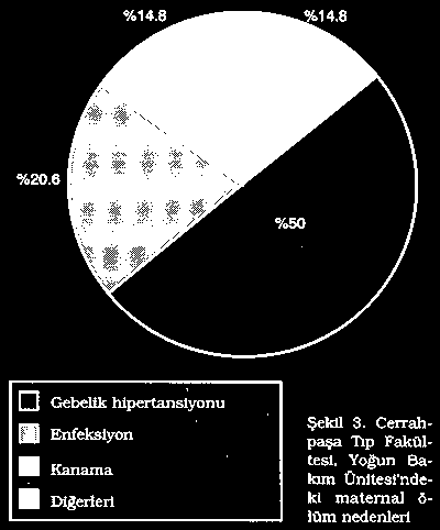 Anestezi Yoğun Bakım Ünitesine yatırılan olguların 88'inde gebelik hipertansiyonu komplikasyonları, 14'ünde kanama, 11'inde enfeksiyon, 7'sinde kalp hastalığı ve 9'unda gebeliğe bağlı diğer nedenler