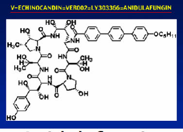22 ġekil 10: Kaspofungin kimyasal Yapı Anidalufungin özefagus kandidozu ve kandidemi tedavisinde etkilidir.