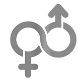 LGBTİ Ne demektir? Lezbiyen, gey, biseksüel, transseksüel ve interseks olarak ifade edilen cinsiyet, toplumsal cinsiyet ve cinsel yönelimle ilgili kavramların yelpazesi.