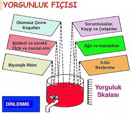 ÇALIŞMA YERİ DÜZENLEME DURUŞLAR Oturuşta temel ergonomik riskler şunlardır: - Uzun süreli statik postürler (duruşlar) - Omurga üzerinde direk yüklenme, yetersiz dinlenme aralıkları, - Omurga üzerine