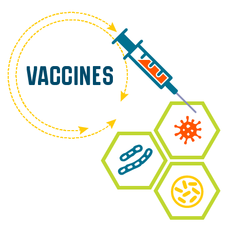 http://axiumhealthcare.com/wp-content/uploads/2015/08/5-minute-health-tip-adult-immunization-vaccination-blog-art-mini-02.png 6.