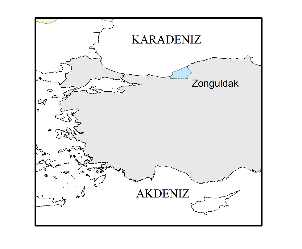 Şekil 1.