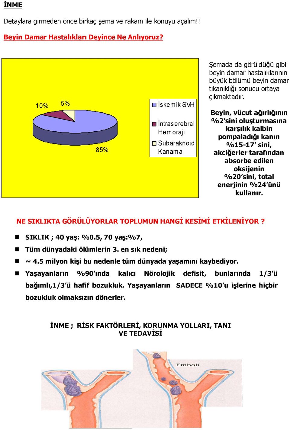 Beyin, vücut ağırlığının %2 sini oluşturmasına karşılık kalbin pompaladığı kanın %15-17 sini, akciğerler tarafından absorbe edilen oksijenin %20 sini, total enerjinin %24 ünü kullanır.