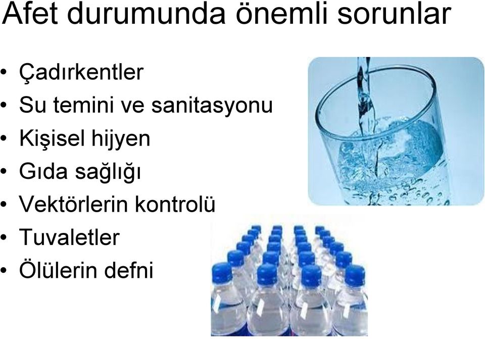 sanitasyonu Kişisel hijyen Gıda