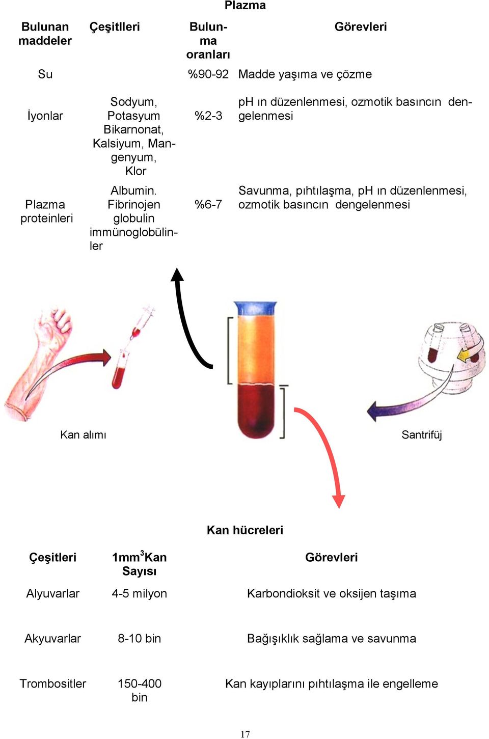 Fibrinojen globulin immünoglobülinler %6-7 Savunma, pıhtılaşma, ph ın düzenlenmesi, ozmotik basıncın dengelenmesi Kan alımı Santrifüj Çeşitleri 1mm 3