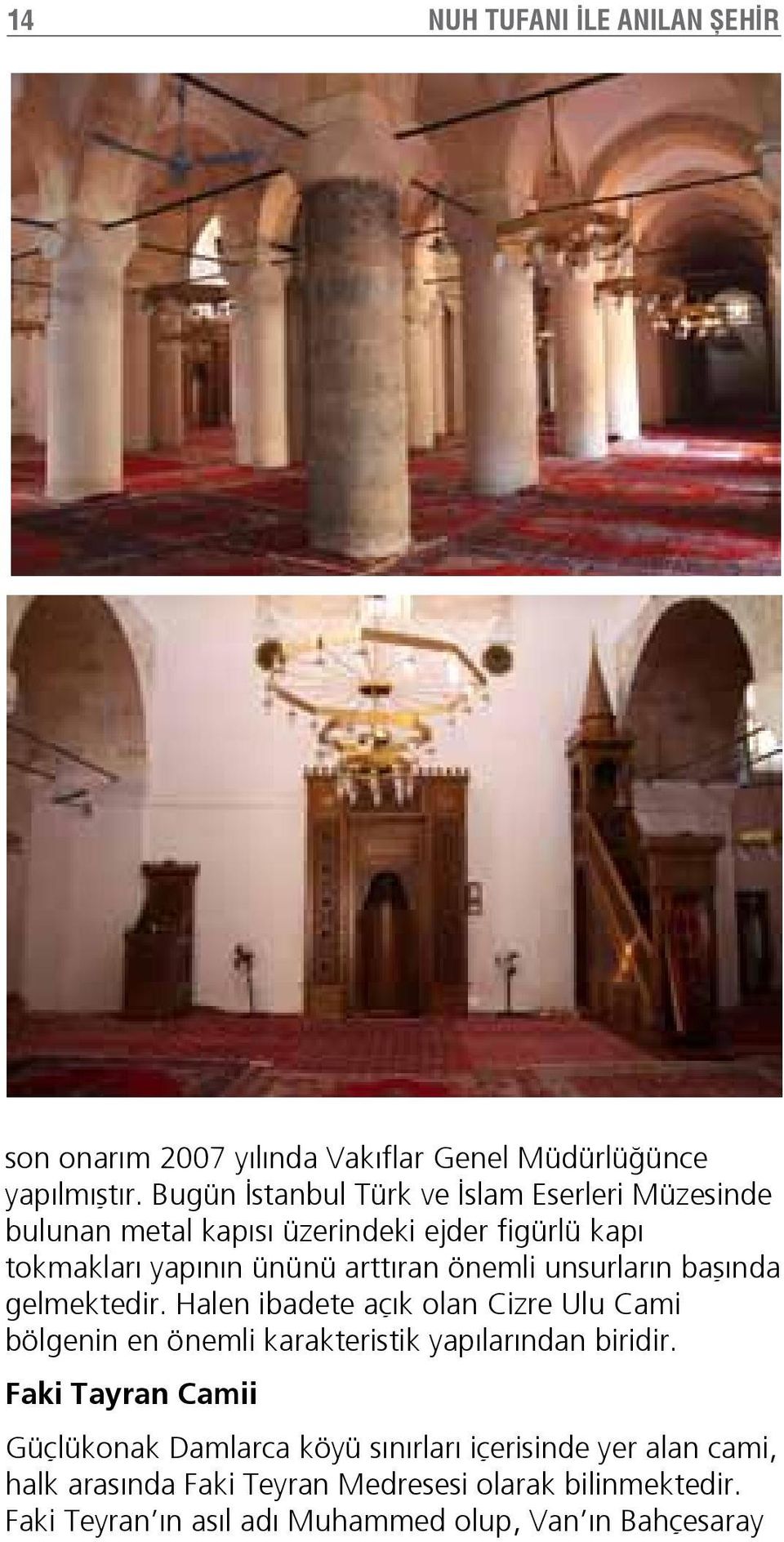 önemli unsurların başında gelmektedir. Halen ibadete açık olan Cizre Ulu Cami bölgenin en önemli karakteristik yapılarından biridir.