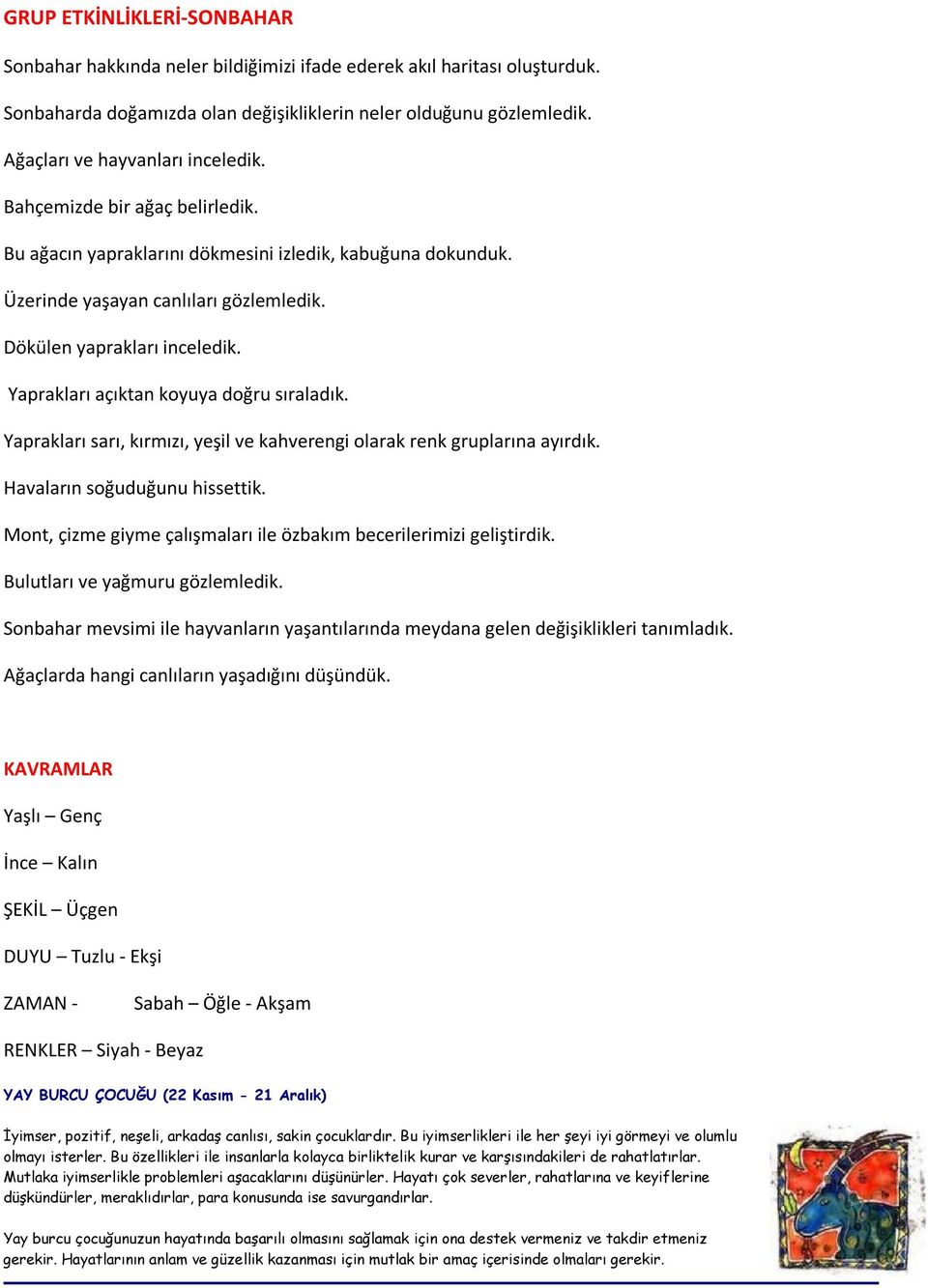 Yaprakları açıktan koyuya doğru sıraladık. Yaprakları sarı, kırmızı, yeşil ve kahverengi olarak renk gruplarına ayırdık. Havaların soğuduğunu hissettik.