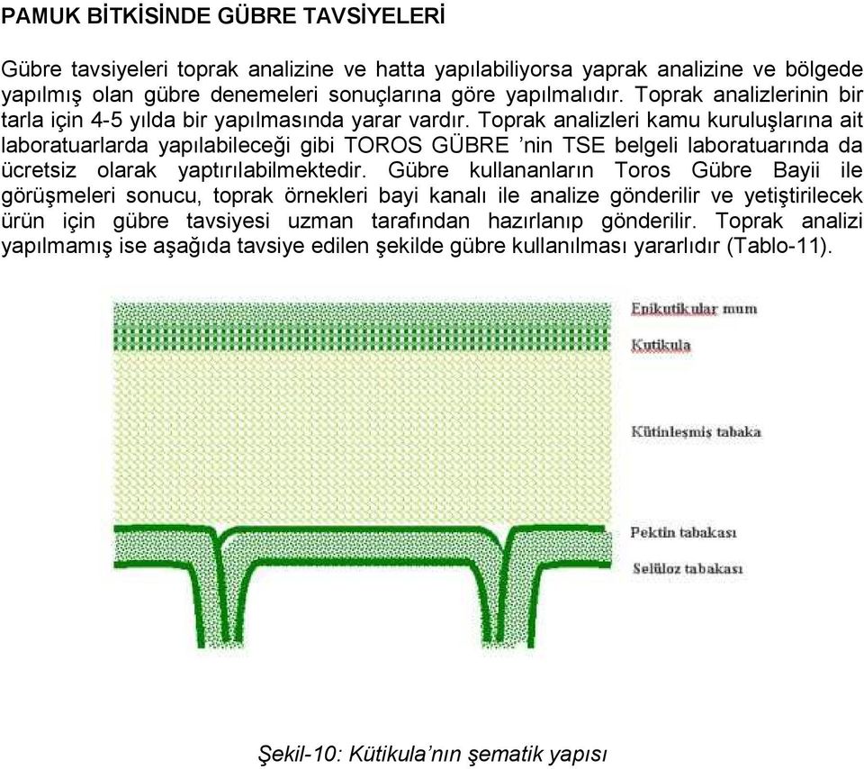 Toprak analizleri kamu kuruluşlarına ait laboratuarlarda yapılabileceği gibi TOROS GÜBRE nin TSE belgeli laboratuarında da ücretsiz olarak yaptırılabilmektedir.