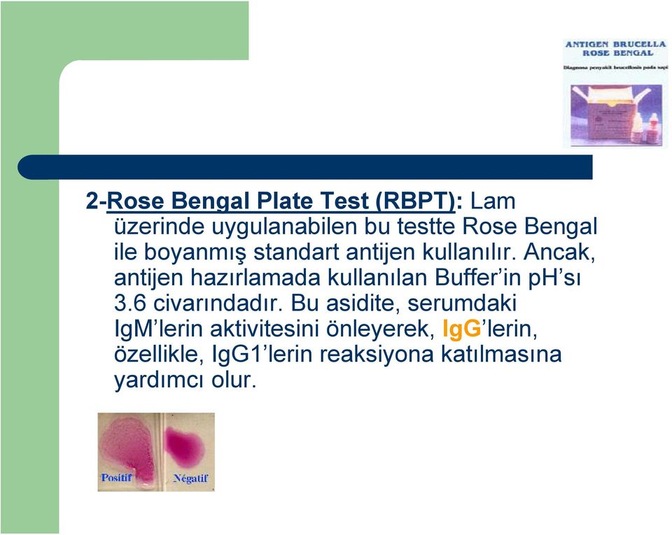 Ancak, antijen hazırlamada kullanılan Buffer in ph sı 3.6 civarındadır.