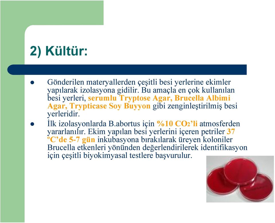 besi yerleridir. İlk izolasyonlarda B.abortus için %10 CO2 li atmosferden yararlanılır.