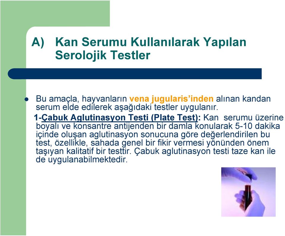 1-Çabuk Aglutinasyon Testi (Plate Test): Kan serumu üzerine boyalı ve konsantre antijenden bir damla konularak 5-10 dakika