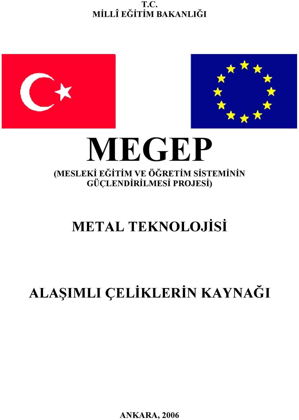 GÜÇLENDİRİLMESİ PROJESİ) METAL