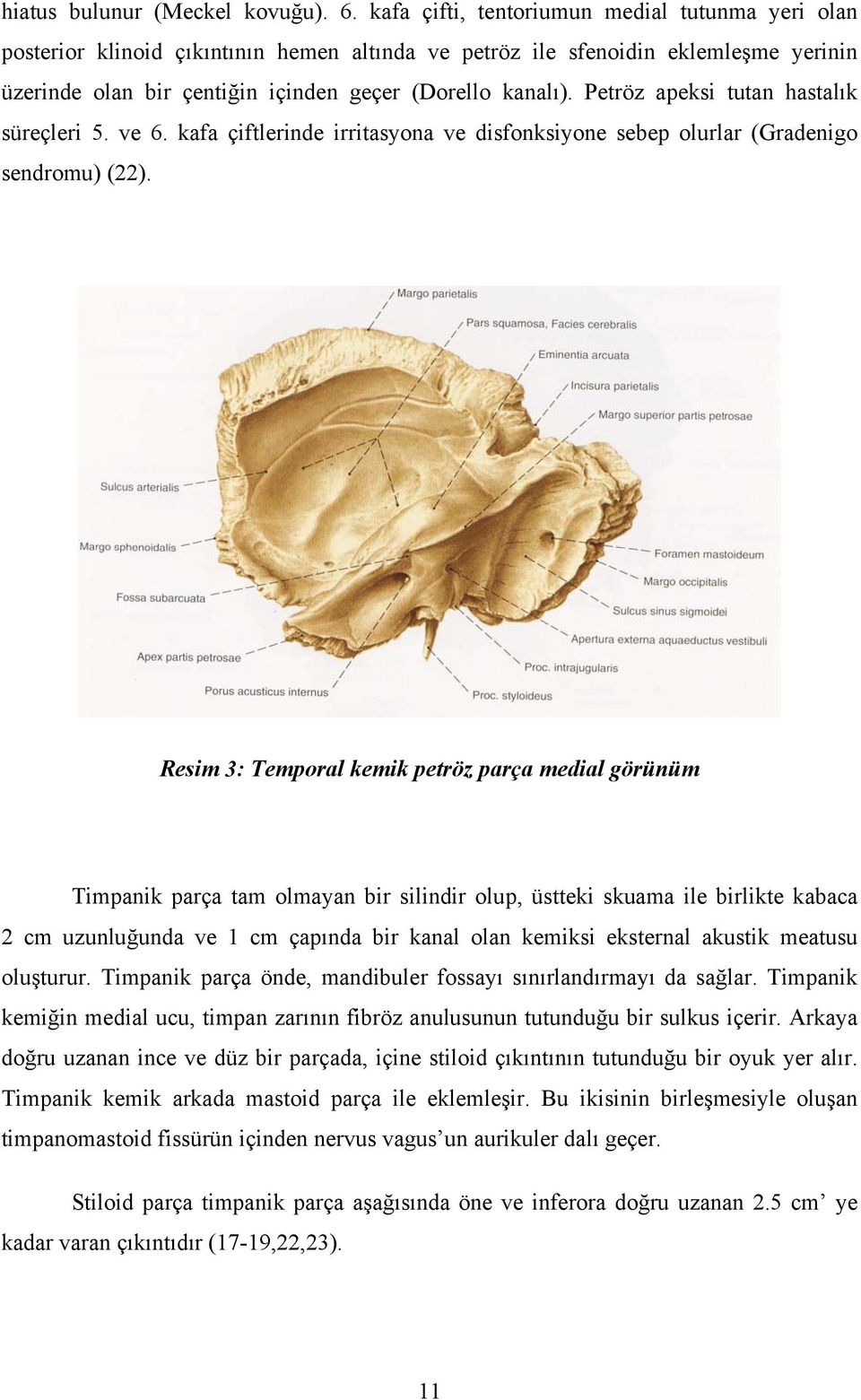 Petröz apeksi tutan hastalık süreçleri 5. ve 6. kafa çiftlerinde irritasyona ve disfonksiyone sebep olurlar (Gradenigo sendromu) (22).