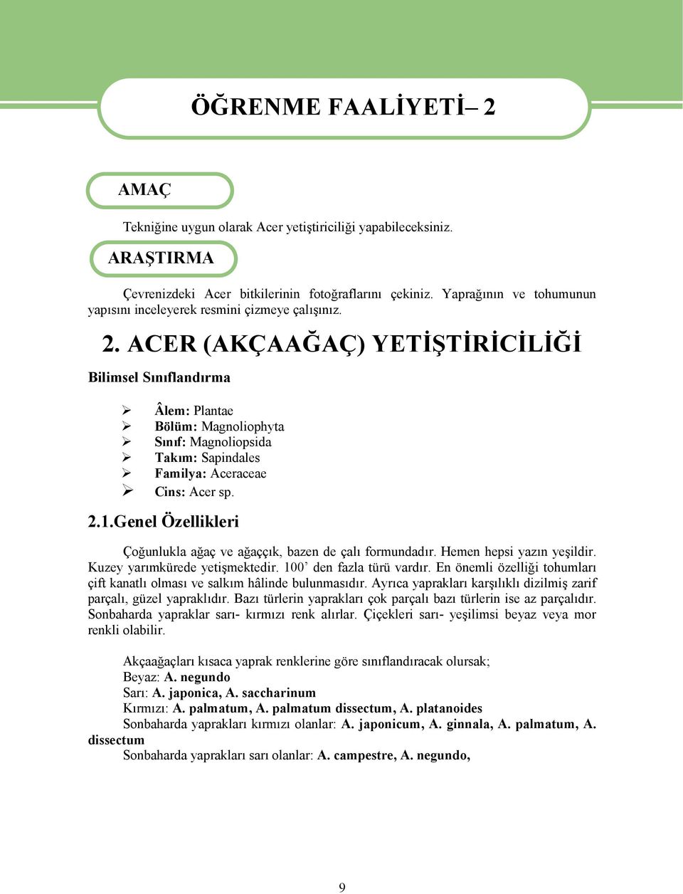 ACER (AKÇAAĞAÇ) YETİŞTİRİCİLİĞİ Bilimsel Sınıflandırma Âlem: Plantae Bölüm: Magnoliophyta Sınıf: Magnoliopsida Takım: Sapindales Familya: Aceraceae Cins: Acer sp. 2.1.