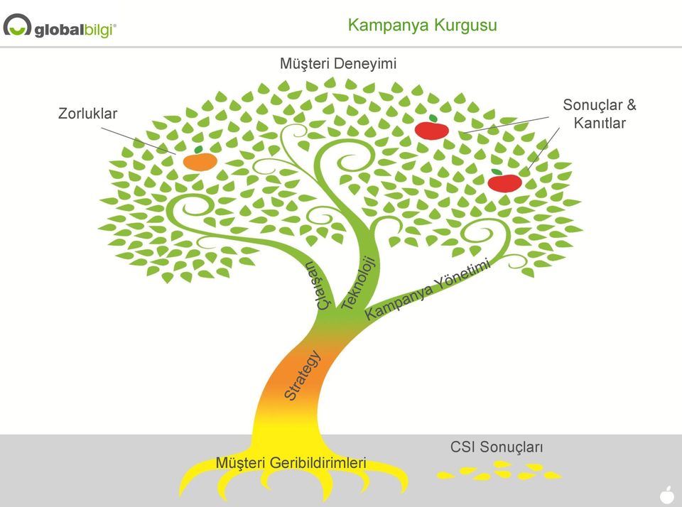 Sonuçlar & Kanıtlar