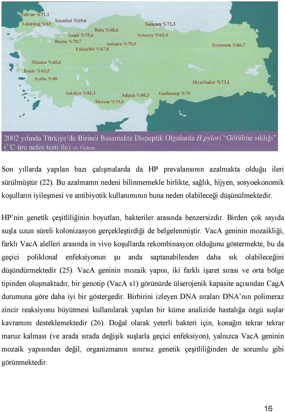 HP nin genetik çeşitliliğinin boyutları, bakteriler arasında benzersizdir. Birden çok sayıda suşla uzun süreli kolonizasyon gerçekleştirdiği de belgelenmiştir.