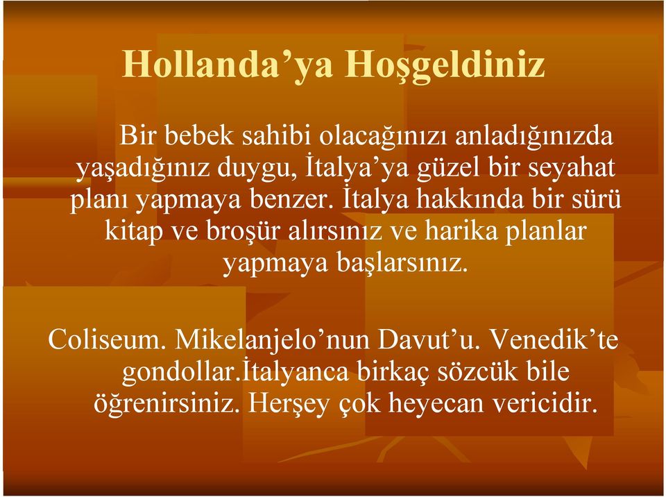 İtalya hakkında bir sürü kitap ve broşür alırsınız ve harika planlar yapmaya başlarsınız.