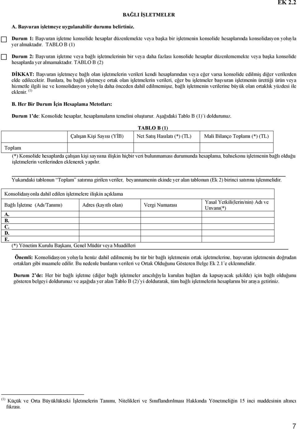 TABLO B (1) Durum 2: Başvuran işletme veya bağlı işletmelerinin bir veya daha fazlası konsolide hesaplar düzenlememekte veya başka konsolide hesaplarda yer almamaktadır.