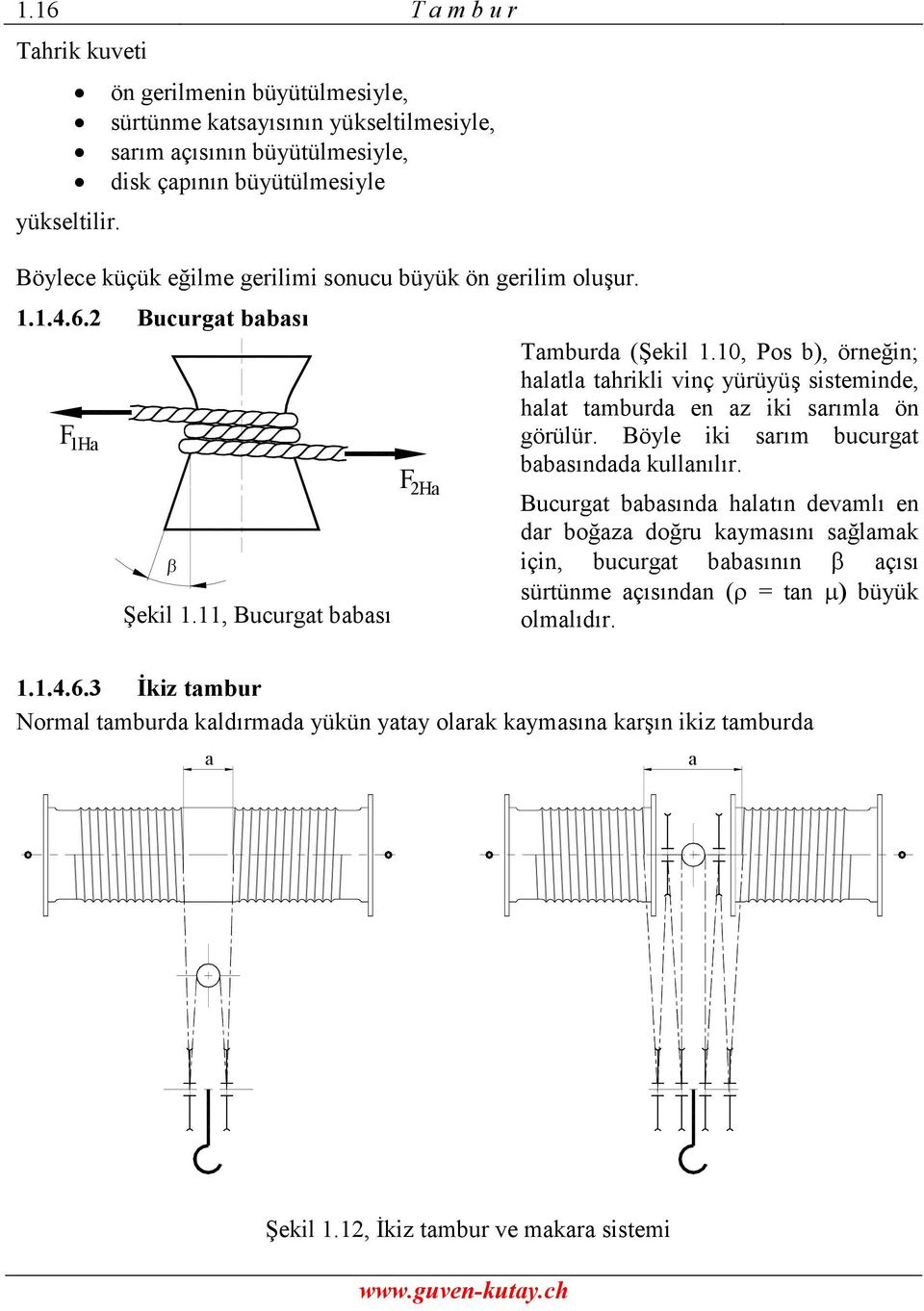 gerilim oluşur. 1.1.4.6. Bucurgat babası F 1Ha Şekil 1.11, Bucurgat babası F Ha Tamburda (Şekil 1.