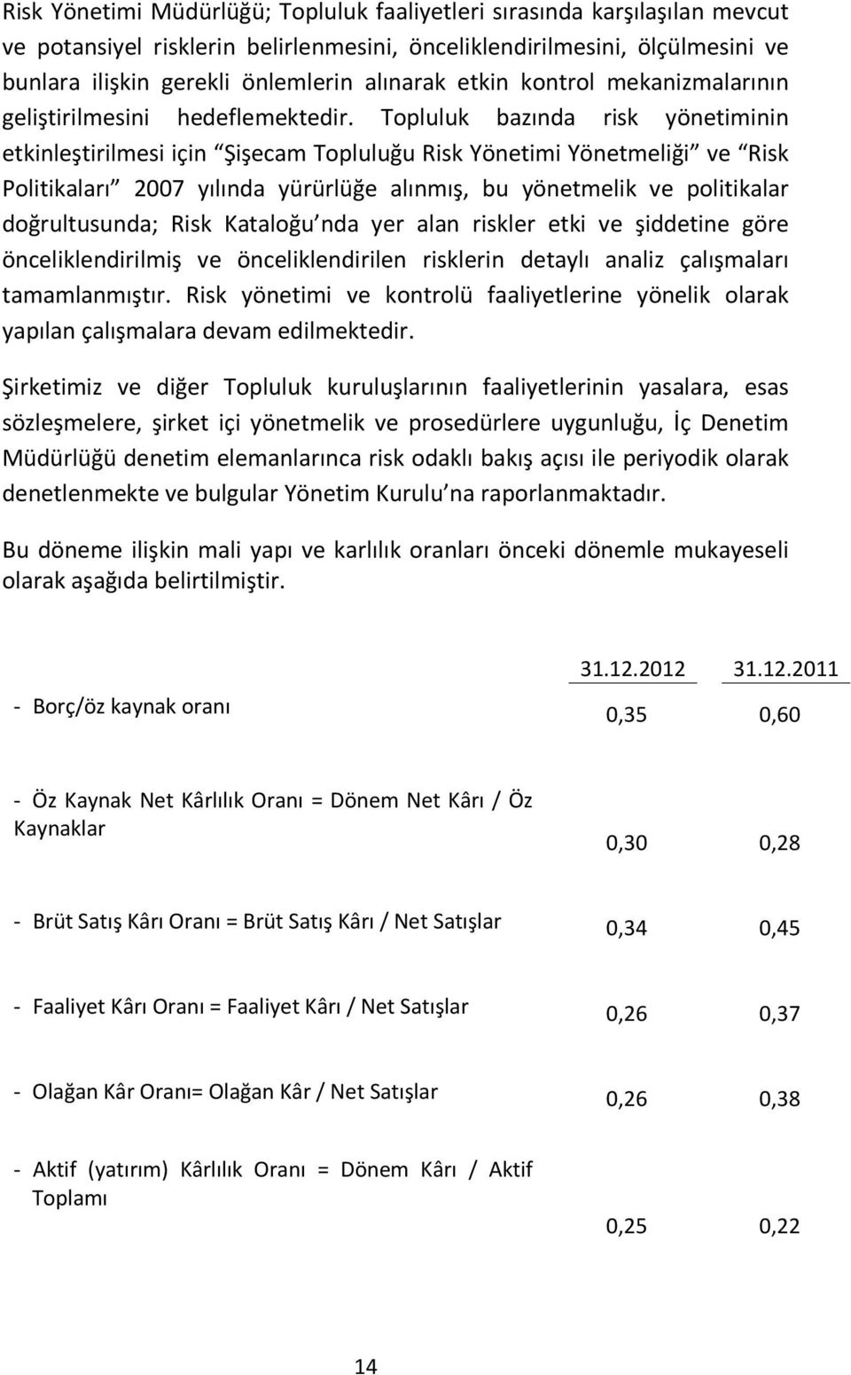 Topluluk bazında risk yönetiminin etkinleştirilmesi için Şişecam Topluluğu Risk Yönetimi Yönetmeliği ve Risk Politikaları 2007 yılında yürürlüğe alınmış, bu yönetmelik ve politikalar doğrultusunda;