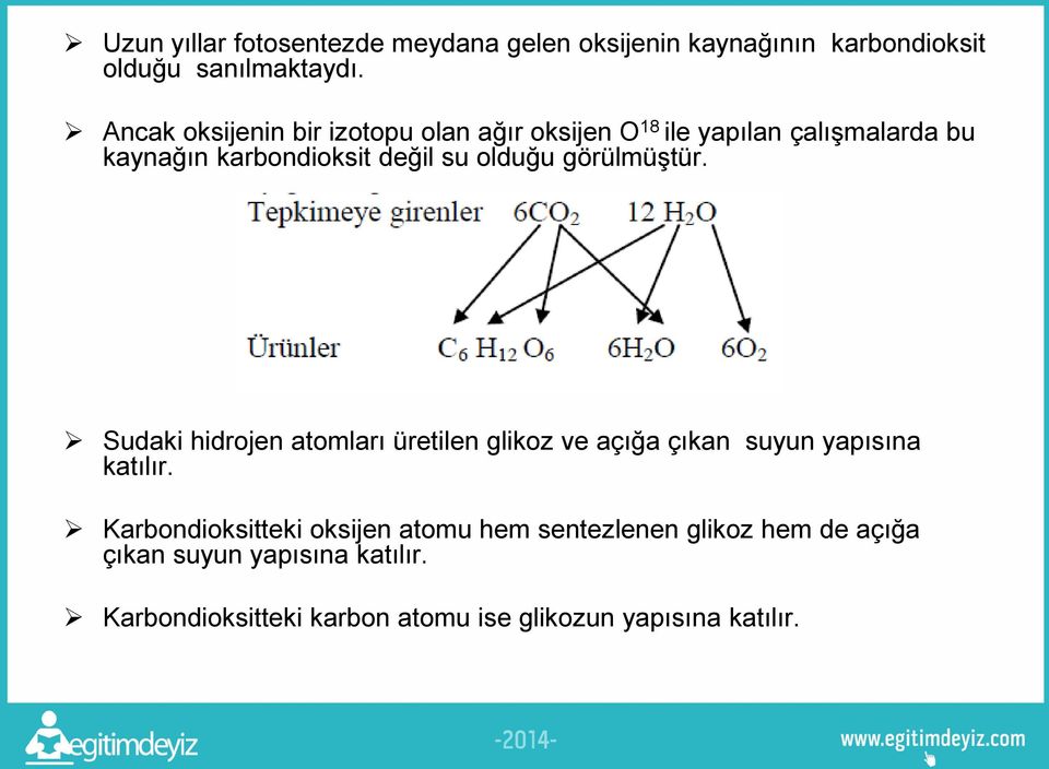 olduğu görülmüştür. Sudaki hidrojen atomları üretilen glikoz ve açığa çıkan suyun yapısına katılır.