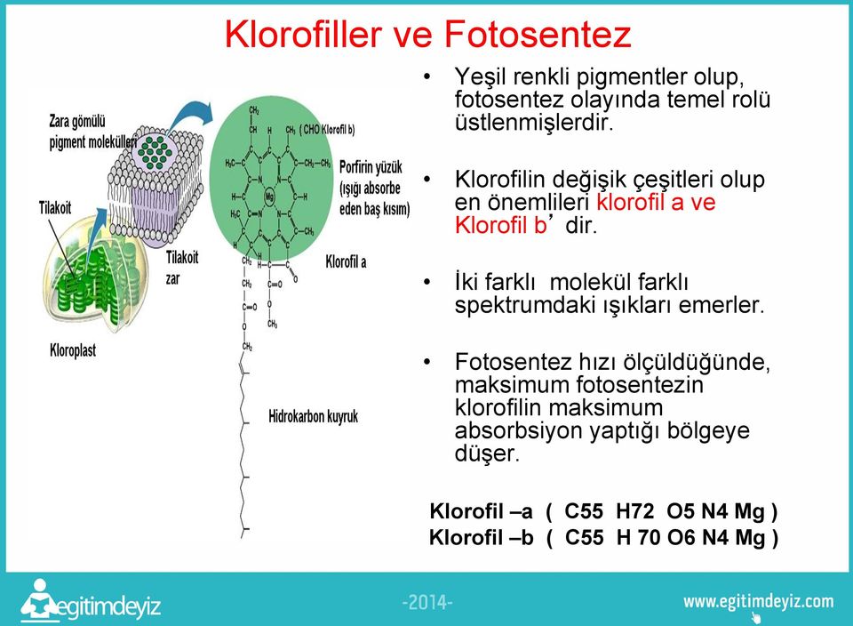 İki farklı molekül farklı spektrumdaki ışıkları emerler.