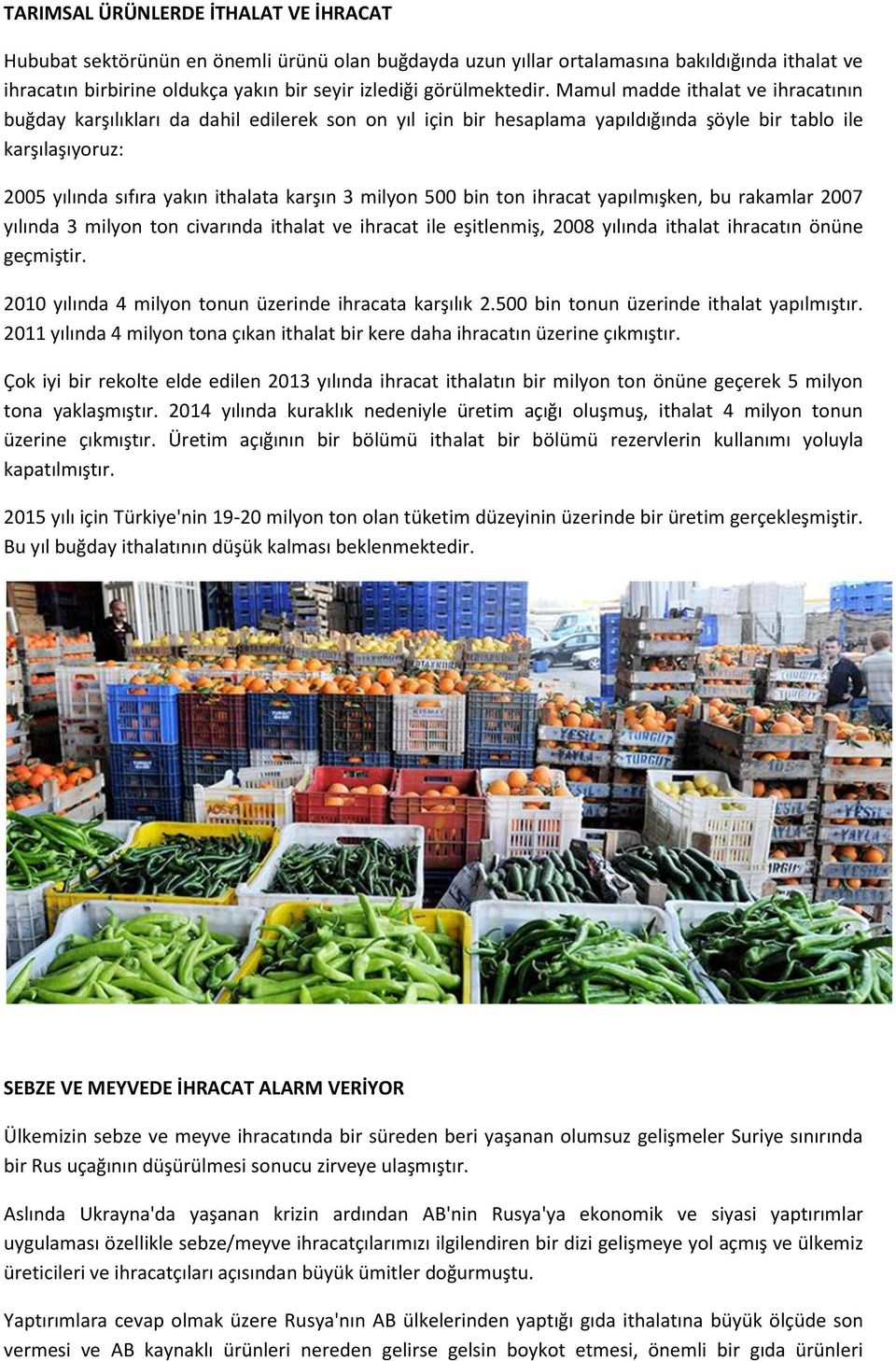 Mamul madde ithalat ve ihracatının buğday karşılıkları da dahil edilerek son on yıl için bir hesaplama yapıldığında şöyle bir tablo ile karşılaşıyoruz: 2005 yılında sıfıra yakın ithalata karşın 3