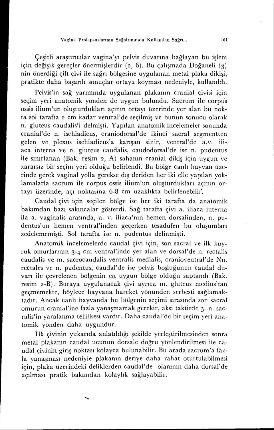 Pelvis'in sağ yarımında uygulanan plakanın cranial çivisi için seçim yeri anatomik yönden de uygun bulundu.