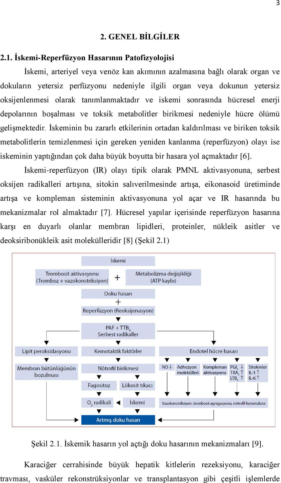 oksijenlenmesi olarak tanımlanmaktadır ve iskemi sonrasında hücresel enerji depolarının boşalması ve toksik metabolitler birikmesi nedeniyle hücre ölümü gelişmektedir.