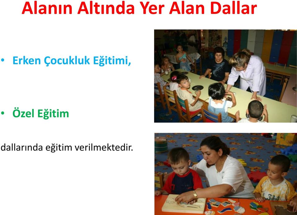 Eğitimi, Özel Eğitim