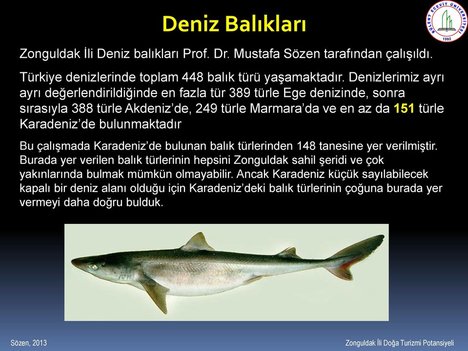 Karadeniz de bulunmaktadır Bu çalışmada Karadeniz de bulunan balık türlerinden 148 tanesine yer verilmiştir.