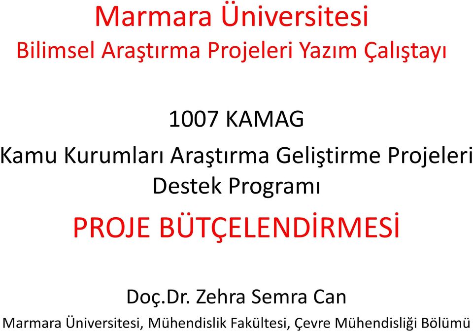 Projeleri Destek Programı PROJE BÜTÇELENDİRMESİ Doç.Dr.