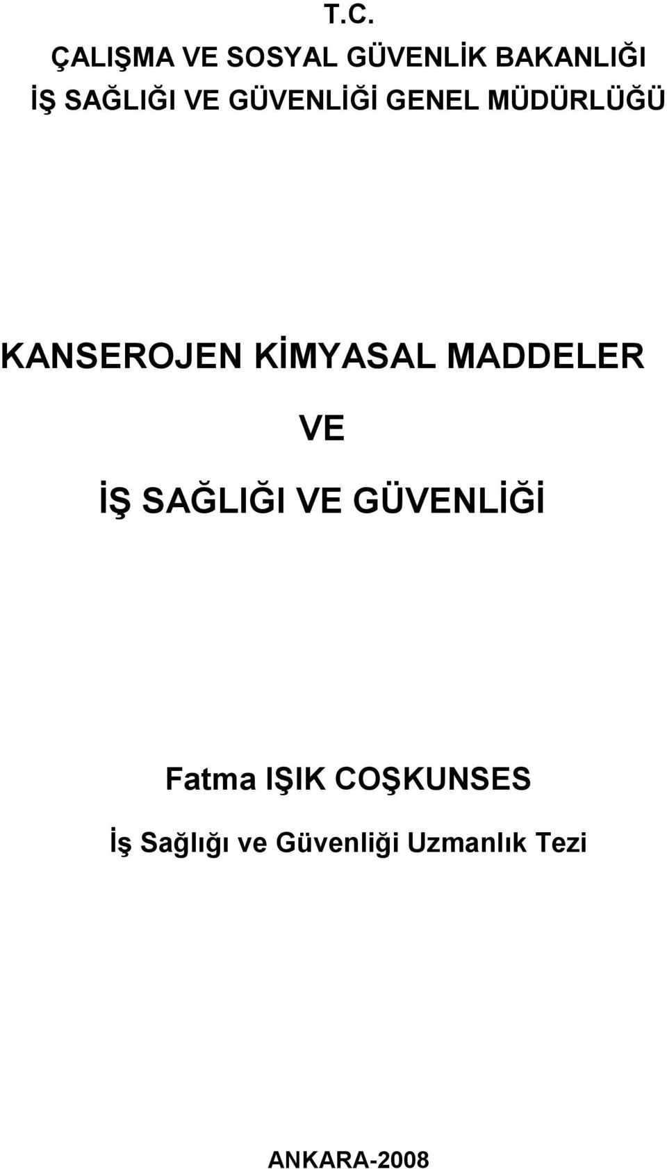 MADDELER VE İŞ SAĞLIĞI VE GÜVENLİĞİ Fatma IŞIK