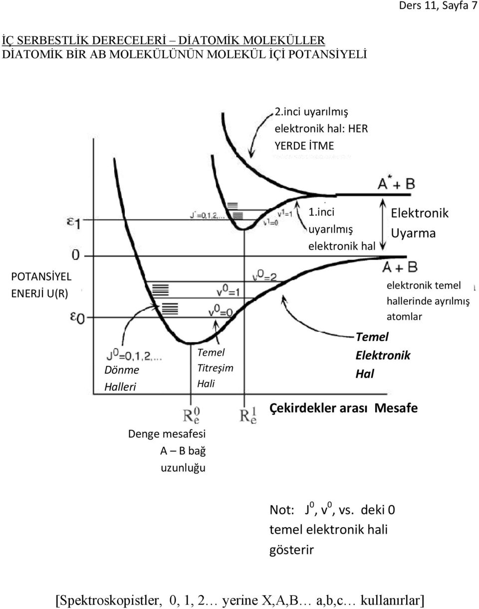 inci uyarılmış elektronik hal Elektronik Uyarma POTANSİYEL ENERJİ U(R) Dönme Halleri Temel Titreşim Hali Temel Elektronik Hal