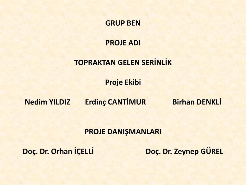 CANTİMUR Birhan DENKLİ PROJE