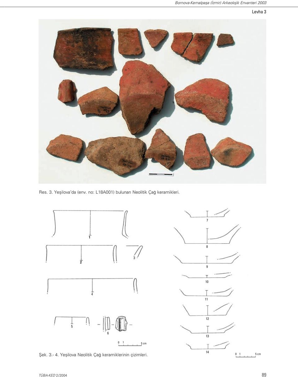 no: L18A001) bulunan Neolitik Ça keramikleri.
